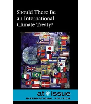 Should There Be an International Climate Treaty?