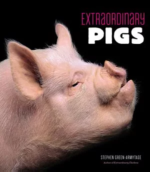 Extraordinary Pigs