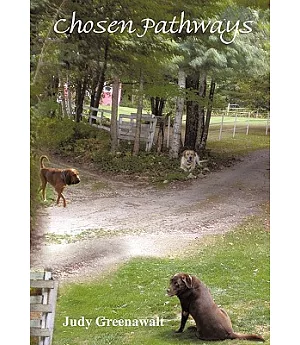 Chosen Pathways