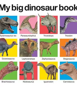 My Big Dinosaur Book