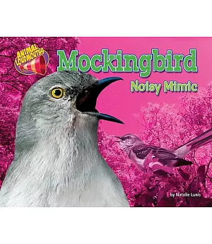 Mockingbird: Noisy Mimic