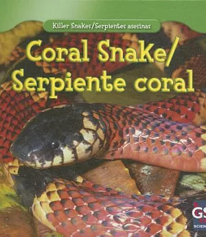 Coral Snake / Serpiente coral