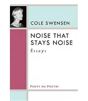 Noise That Stays Noise: Essays