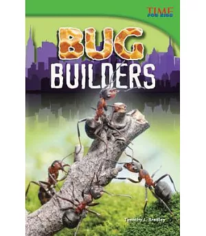 Bug Builders