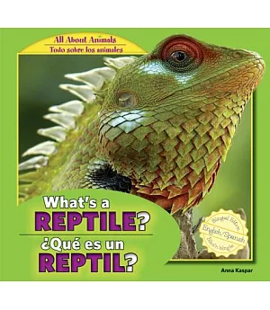 What’s a Reptile? / Que Es Un Reptil?