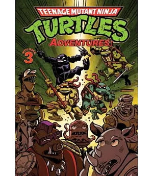 Teenage Mutant Ninja Turtles Adventures 3