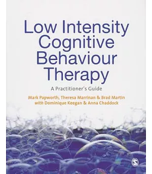 Low Intensity Cognitive Behaviour Therapy: A Practitioner’s Guide