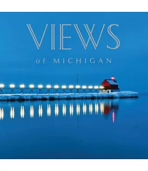 Views of Michigan