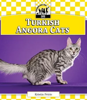 Turkish Angora Cats