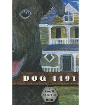 Dog 4491