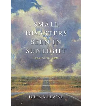 Small Disasters Seen in Sunlight: Poems