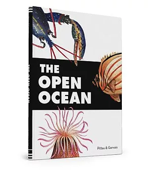 The Open Ocean