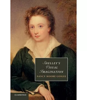 Shelley’s Visual Imagination