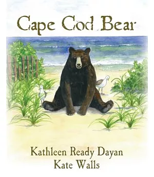 Cape Cod Bear