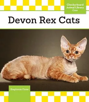 Devon Rex Cats