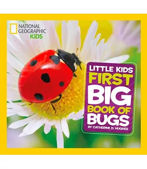 Little Kids First Big Book of Bugs