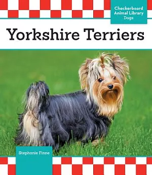 Yorkshire Terriers