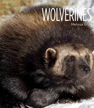 Wolverines