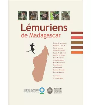 Lémuriens De Madagascar