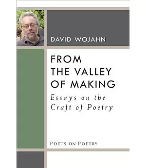 From the Valley of Making: Essays on the Craft of Poetry