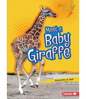 Meet a Baby Giraffe