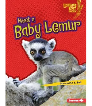 Meet a Baby Lemur