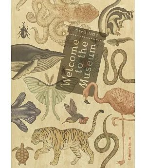 Welcome to the Museum: Animalium Collector’s Edition