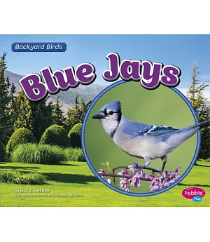 Blue Jays