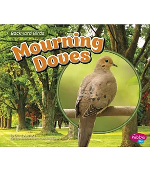 Mourning Doves