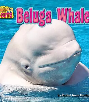 Beluga Whale