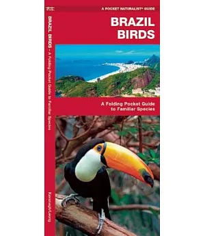 Brazil Birds: A Folding Pocket Guide to Familiar Species