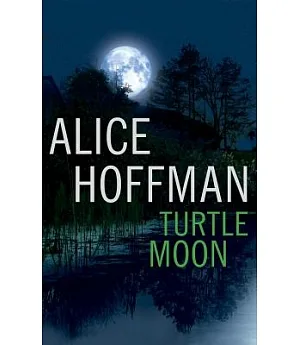 Turtle Moon