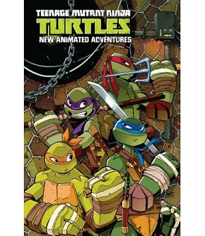 Teenage Mutant Ninja Turtles New Animated Adventures Omnibus 1