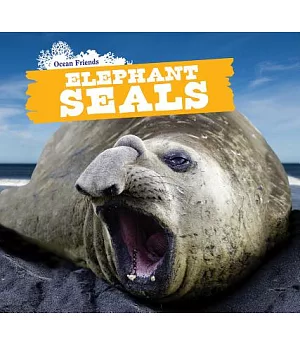 Elephant Seals