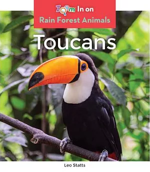 Toucans