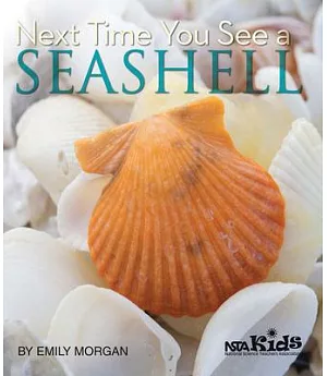 Next Time You See a Seashell