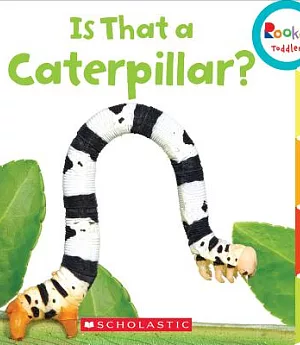 Is That a Caterpillar?