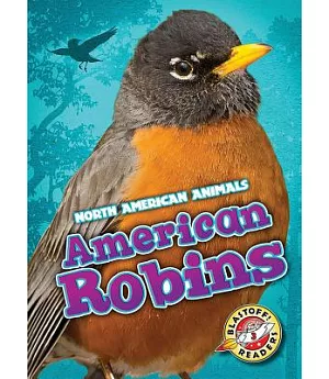 American Robins