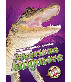 American Alligators