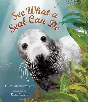 See What a Seal Can Do