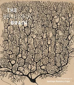 The Beautiful Brain: The Drawings of Santiago Ramon Y Cajal