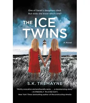 The Ice Twins