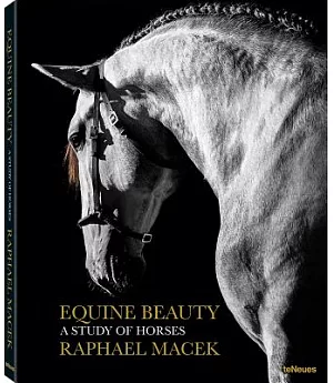 Equine Beauty: A Study of Horses