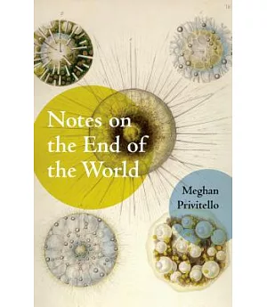 Notes on the End of the World