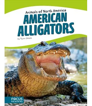 American Alligators