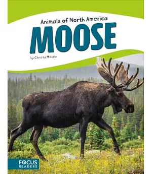 Moose