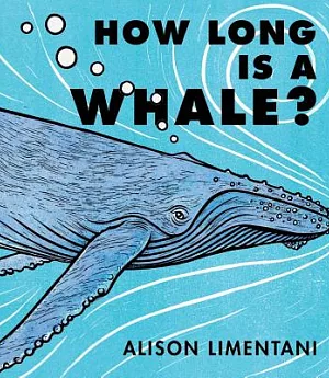 How Long Is a Whale?