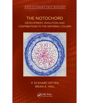 Evolution of the Structure and Function of the Notochord