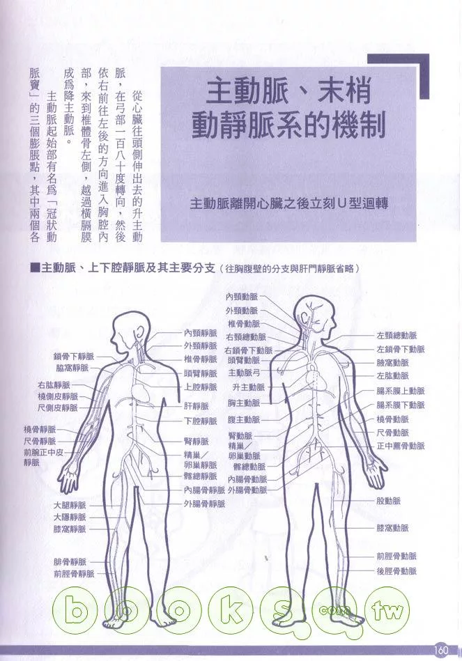 圖解循環系統的疾病與機制 買書網