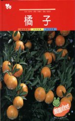 親親自然月刊－橘子